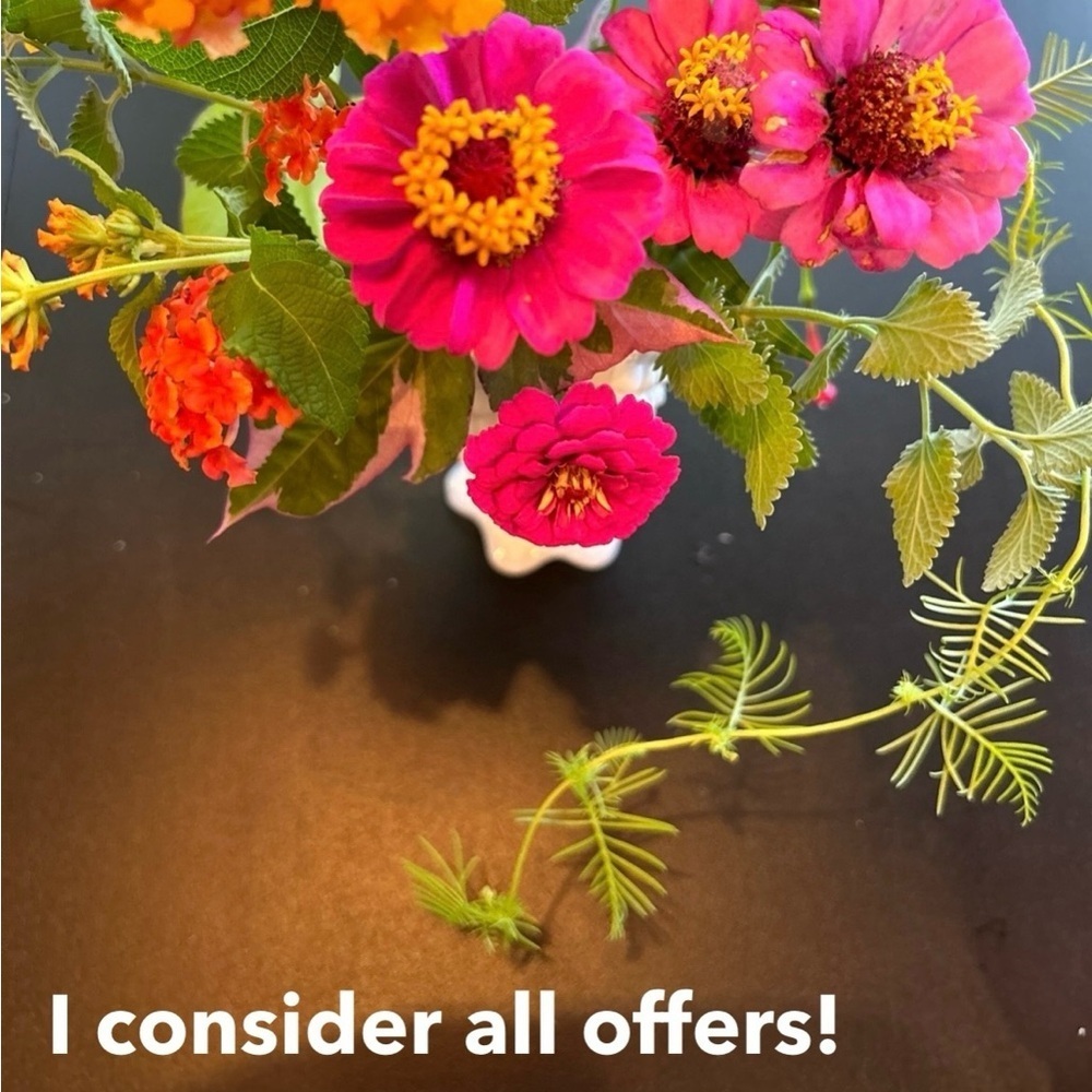 Like new size S Pointelle sweater vest sleeveless top in a gorgeous rust shade - Picture 10 of 10